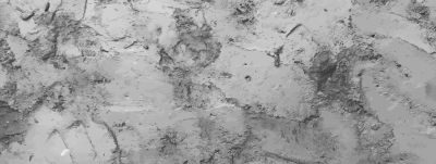 Textured Wall Finishes